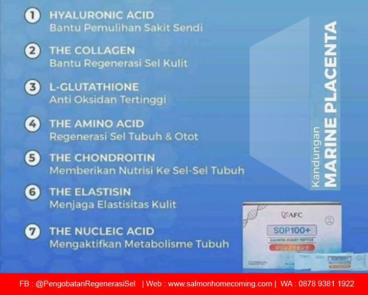 kandungan sop 100+ terbuat dari apa
