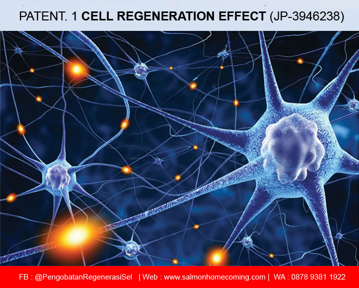 Patent SOP 100 untuk Regenerasi Sel