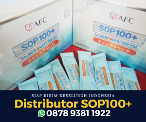 Distributor SOP 100+