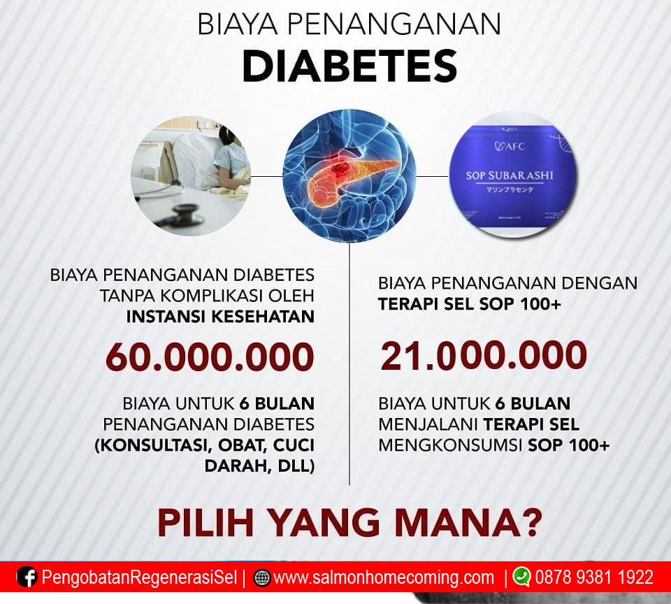 Harga SOP Subarashi untuk Diabetes