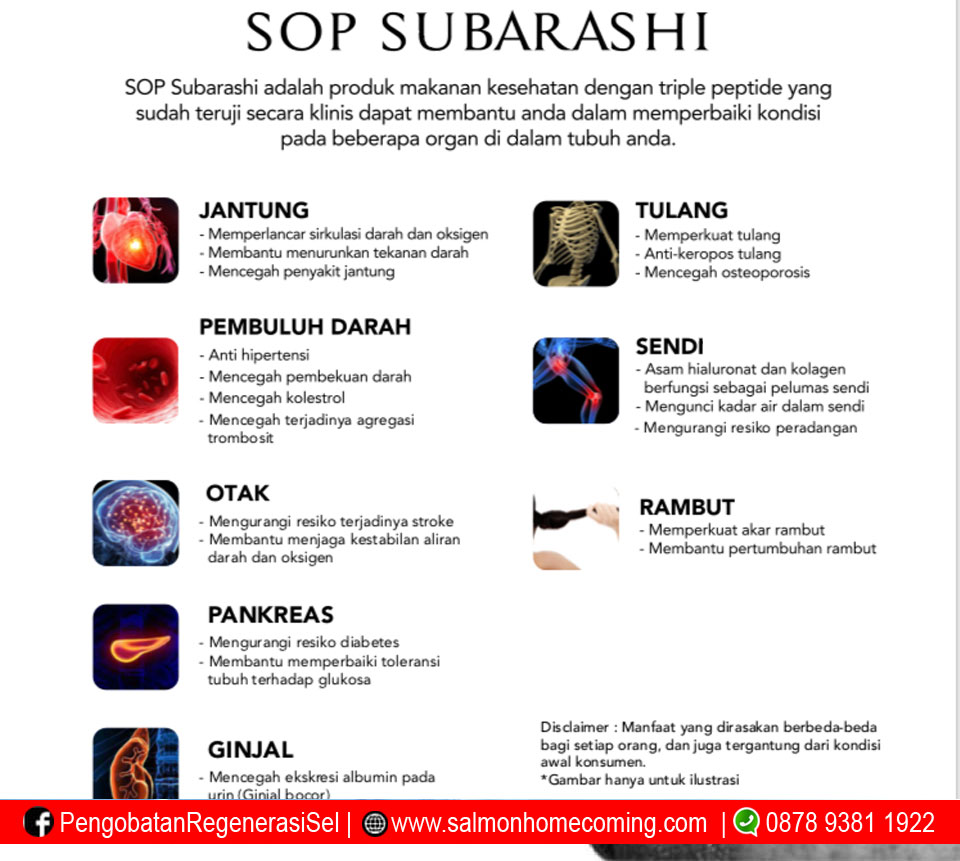 Manfaat SOP Subarashi untuk Jantung