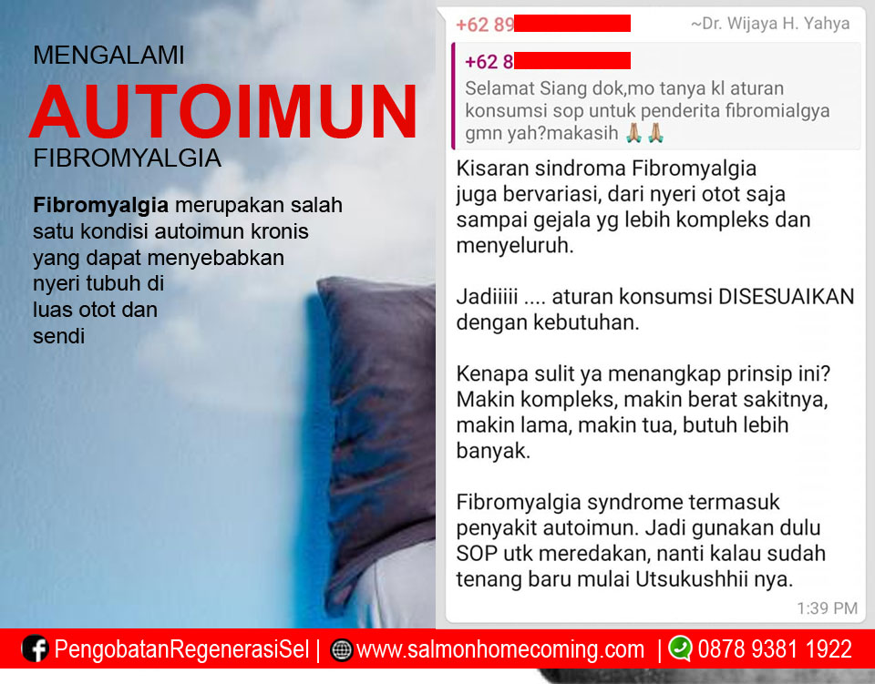 obat herbal autoimun fibromyalgia