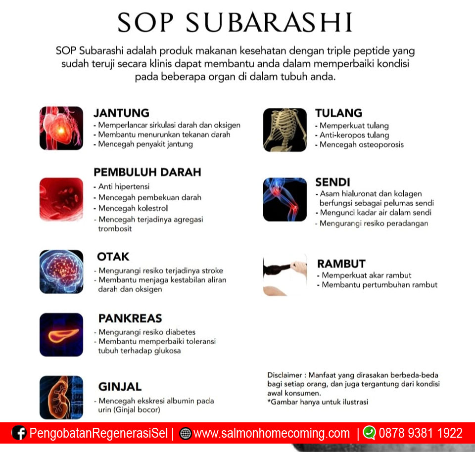 Manfaat sop Subarashi