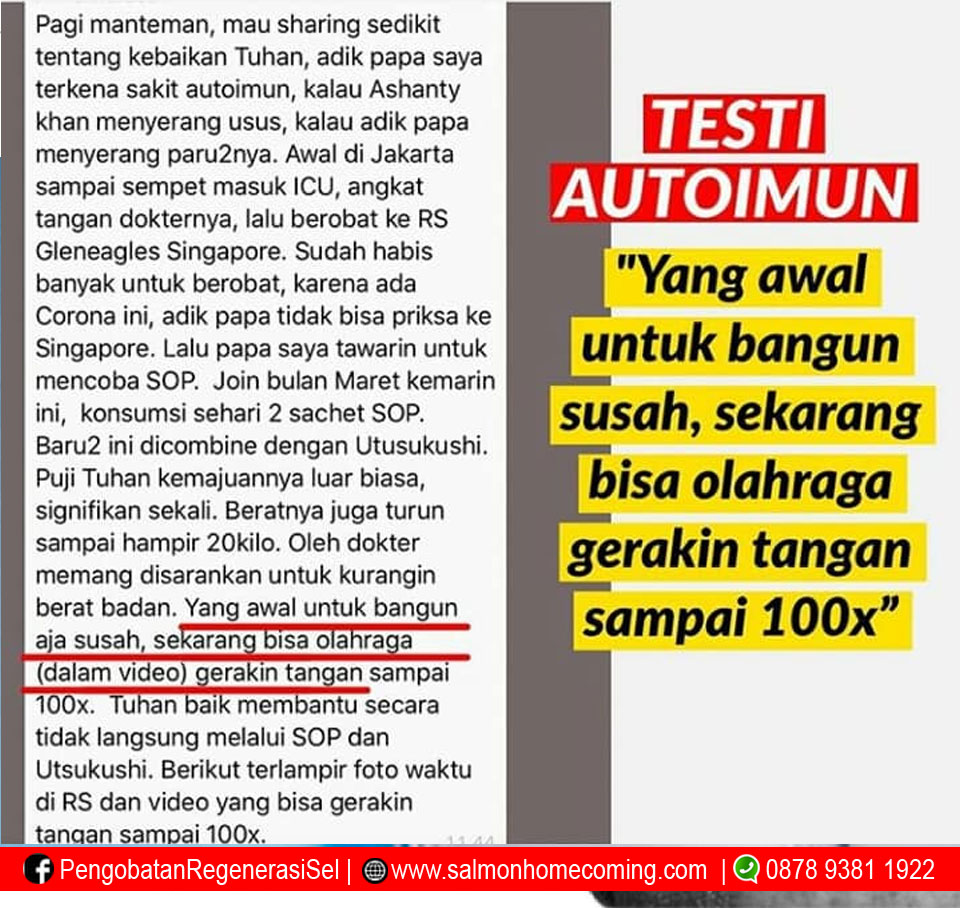 sop 100+ untuk autoimun