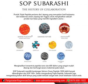 SOP Subarashi Japan