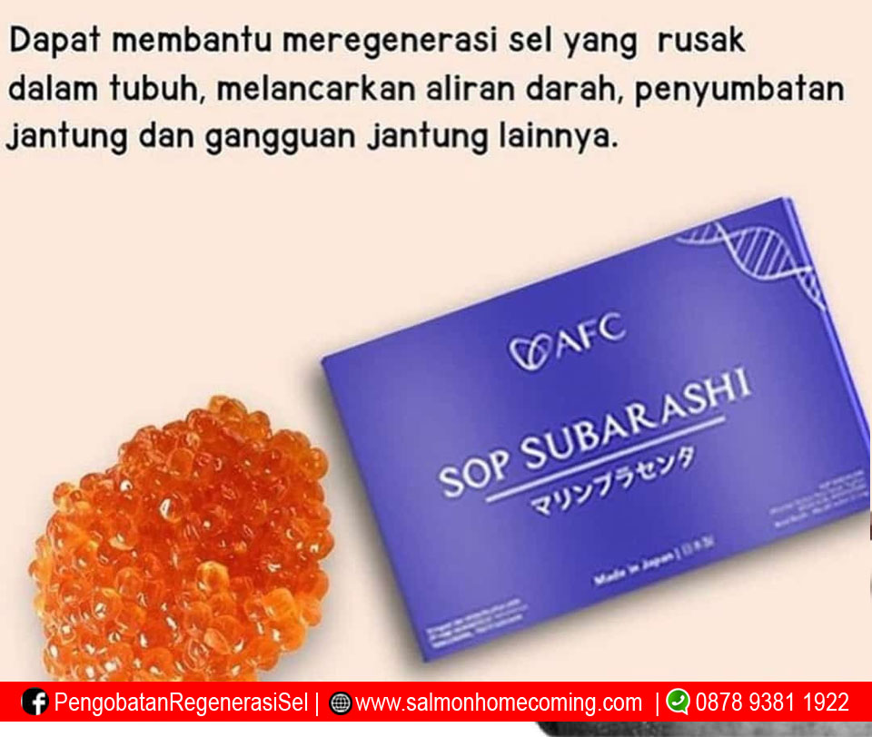 SOP Subarashi untuk Apa