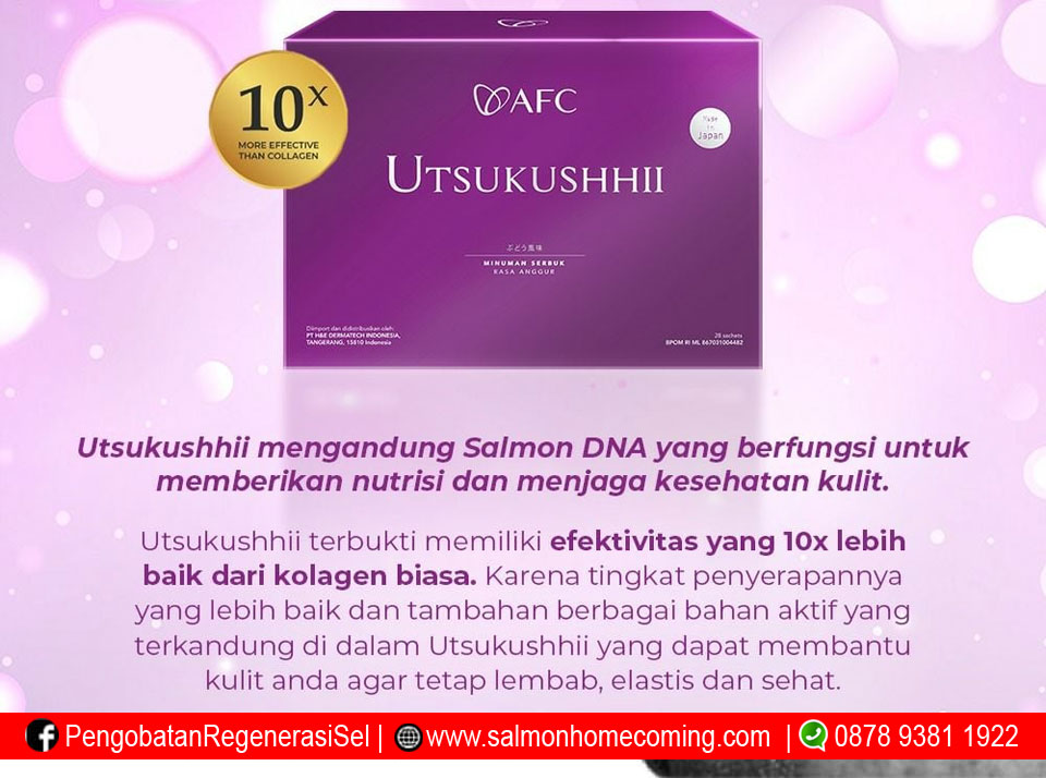 Utsukushhii Untuk Apa